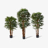 Artificial Raphis Lady Palms Group Shot