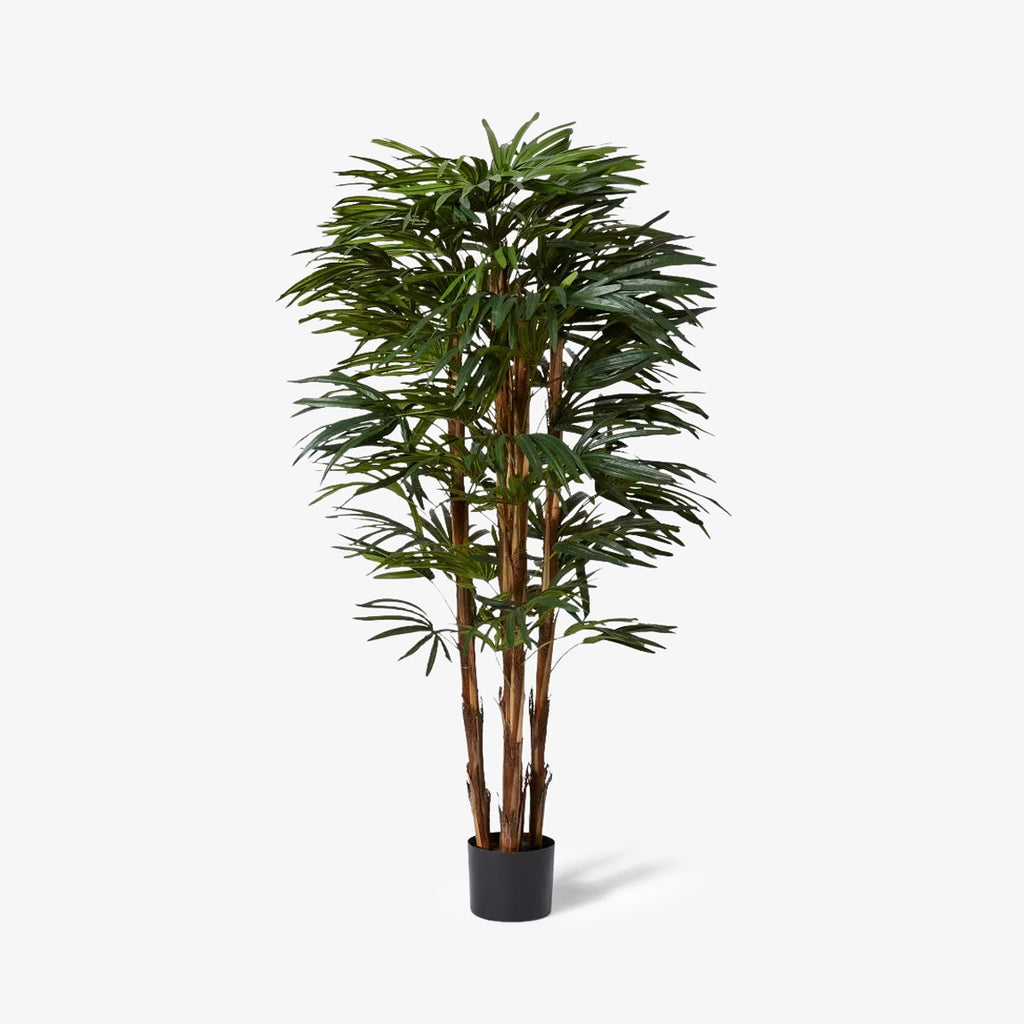 Artificial Raphis Lady Palms Individual Shot