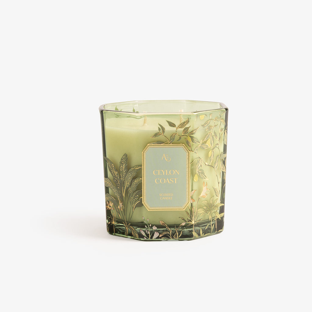 Ceylon Coast Candles Large