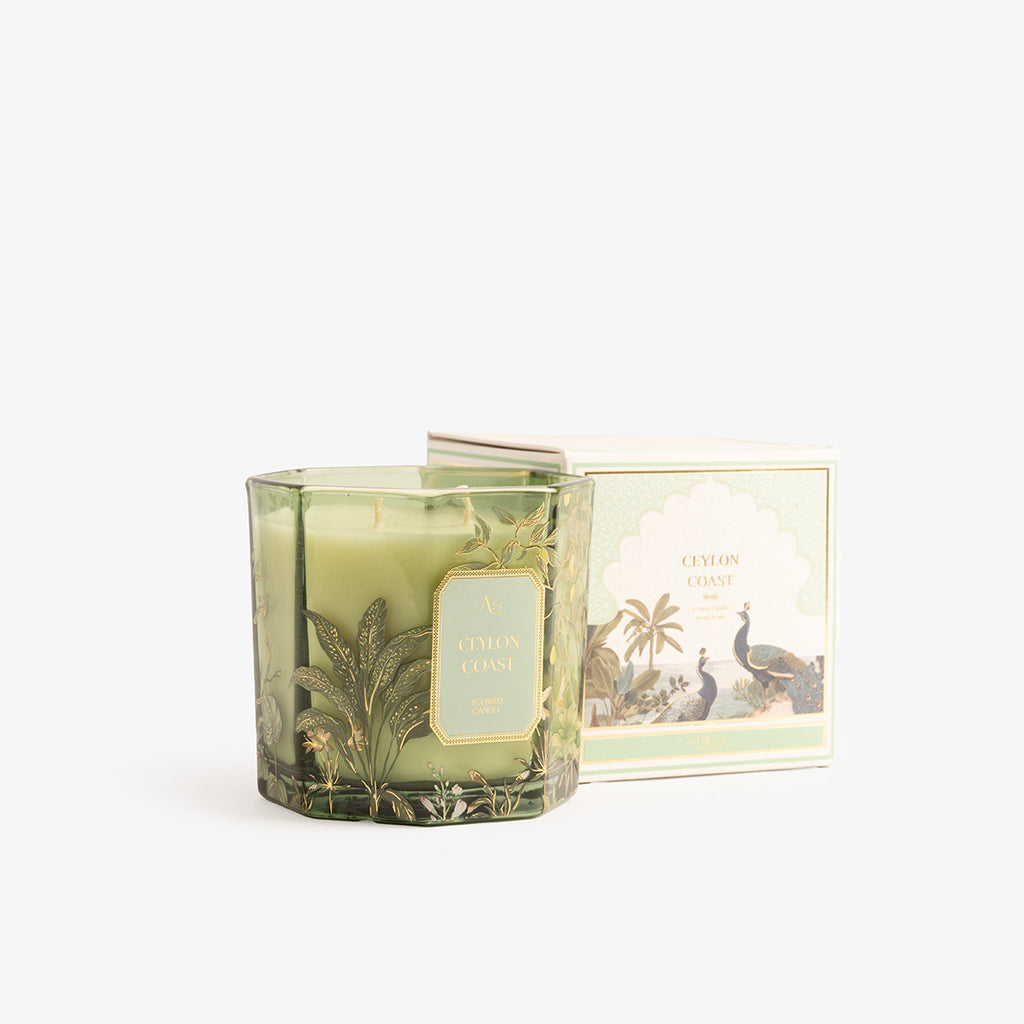 Ceylon Coast Candles Large with Box