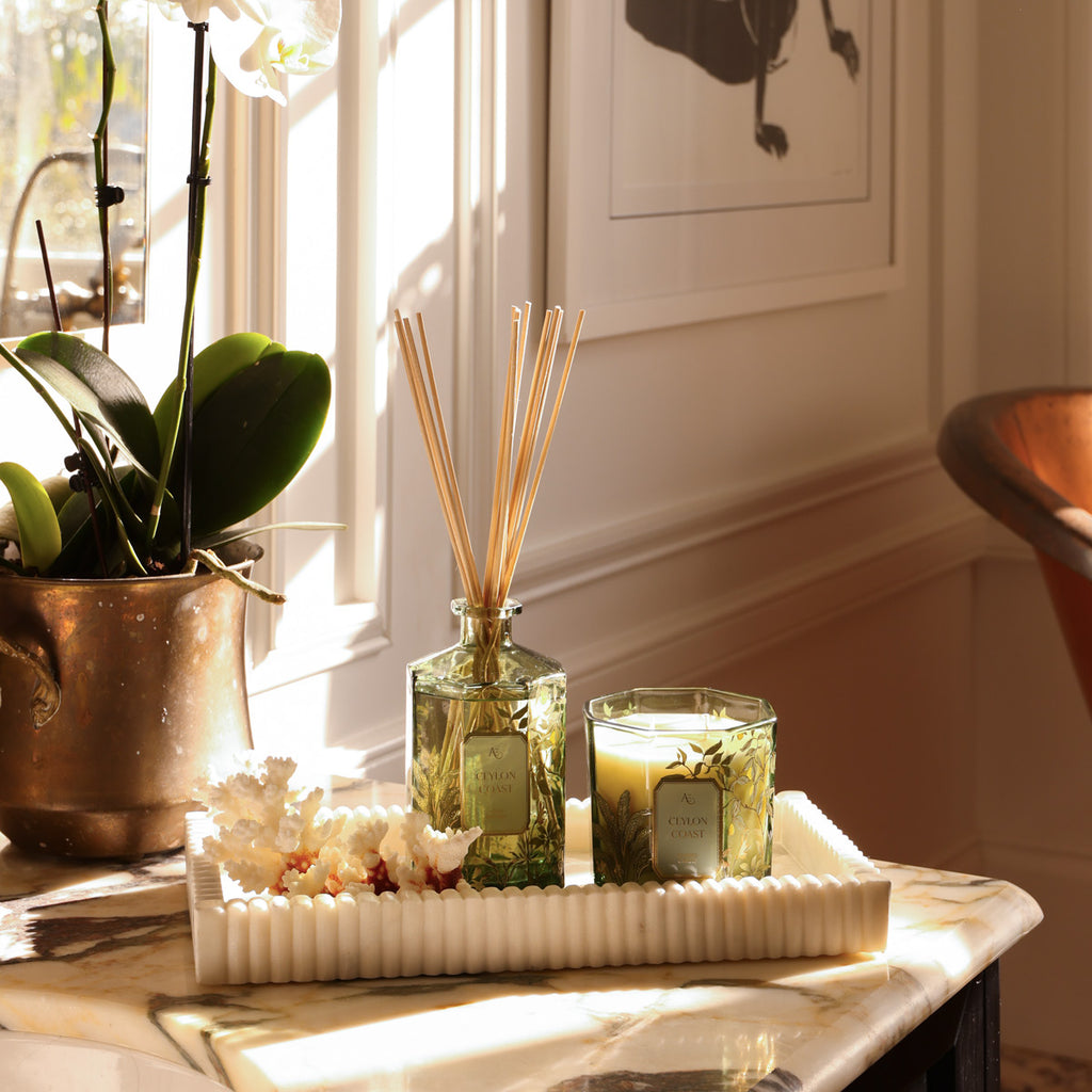 Ceylon Coast Candle & Diffuser