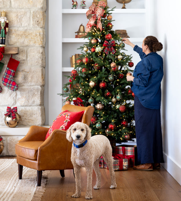 Person decorating a Christmas tree in a living room with a dog standing nearby.