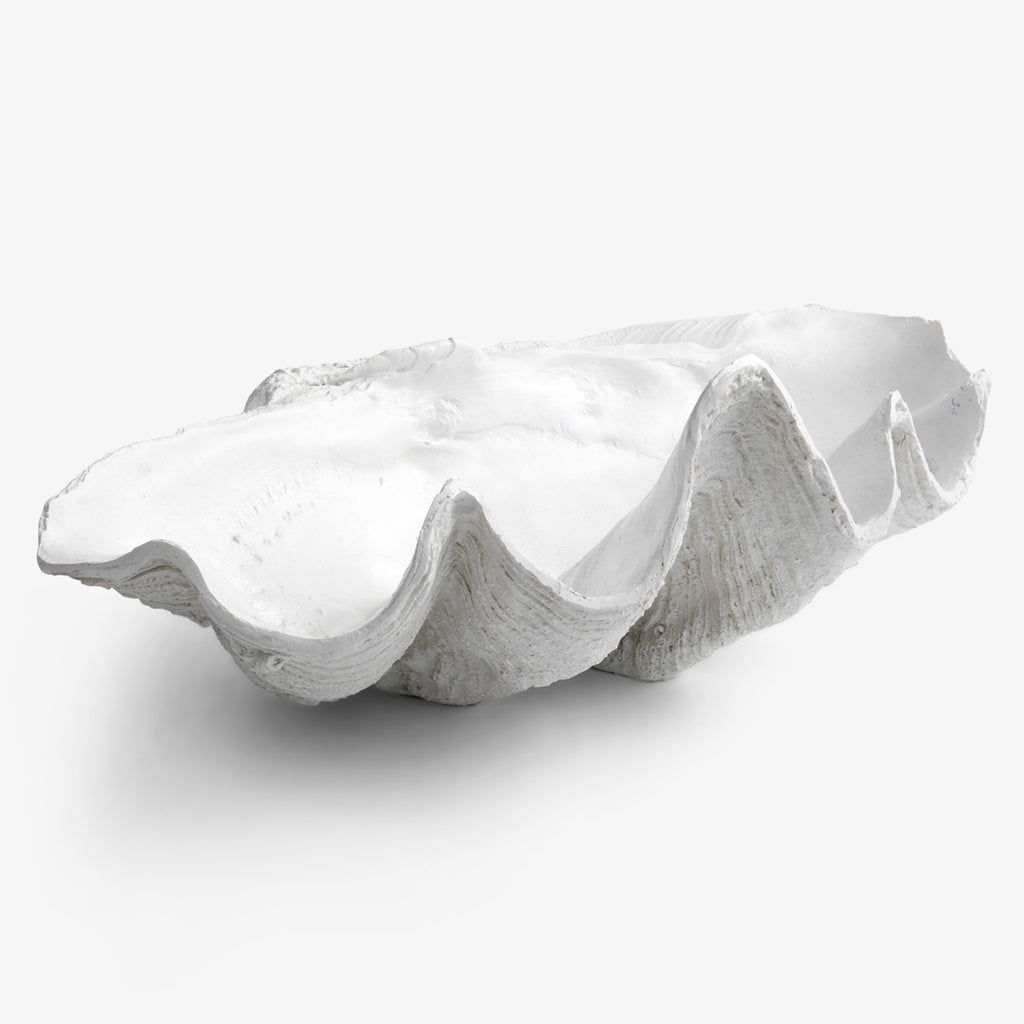 Clam Shell White 68cm