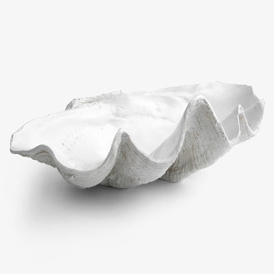 White resin clam shell bowl or sculpture