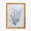 Coral Print in Rattan Frame 1 Front