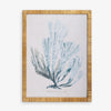 Coral Print in Rattan Frame 3 Front