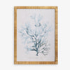 Coral Print in Rattan Frame 4 Front