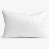 Cushion Insert Feather Y