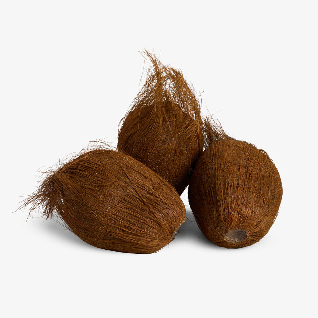 Decorative Artificial Coconut Group Shot