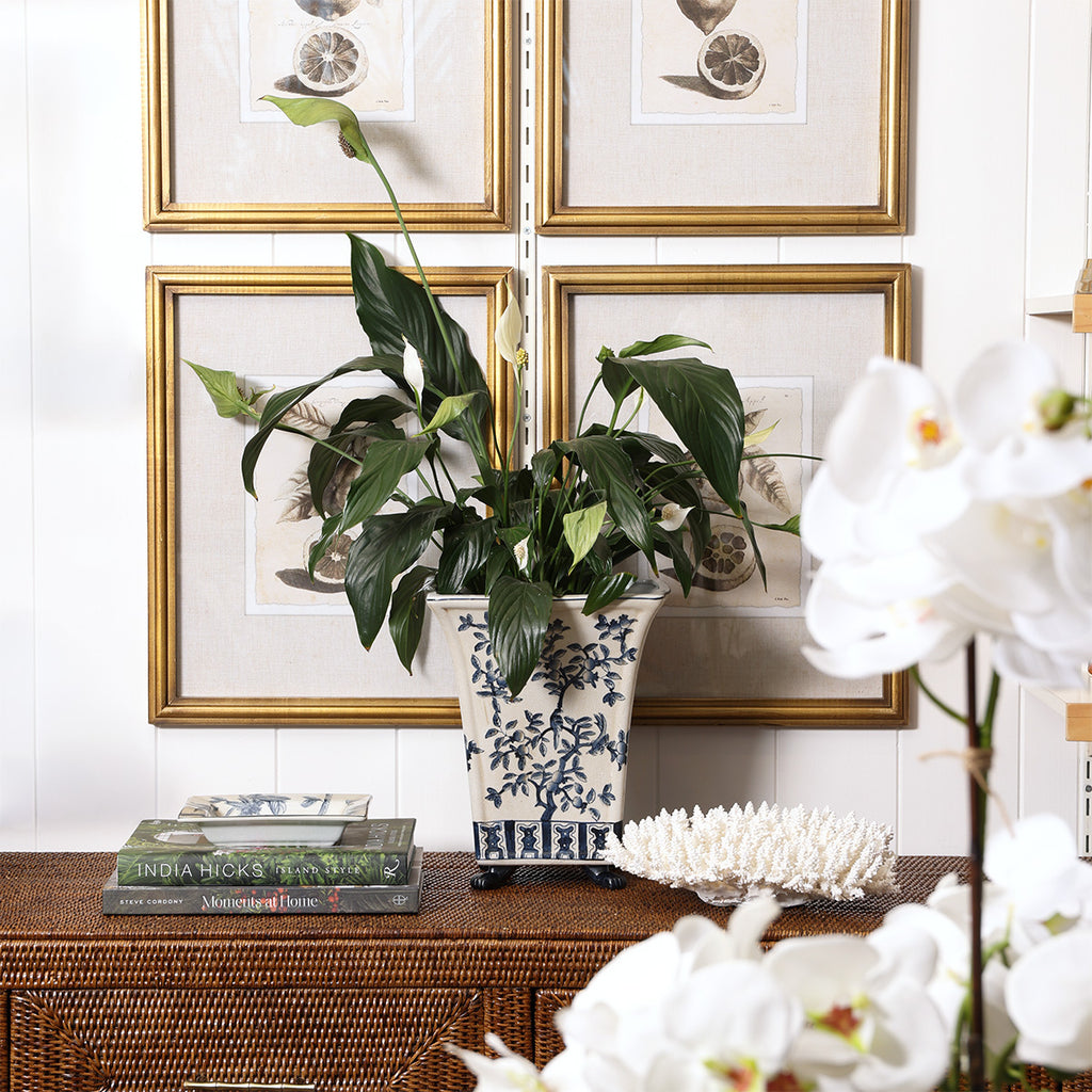 Dynasty Flared Chinoiserie Style Planter Styled on Rattan Cabinet with Plant
