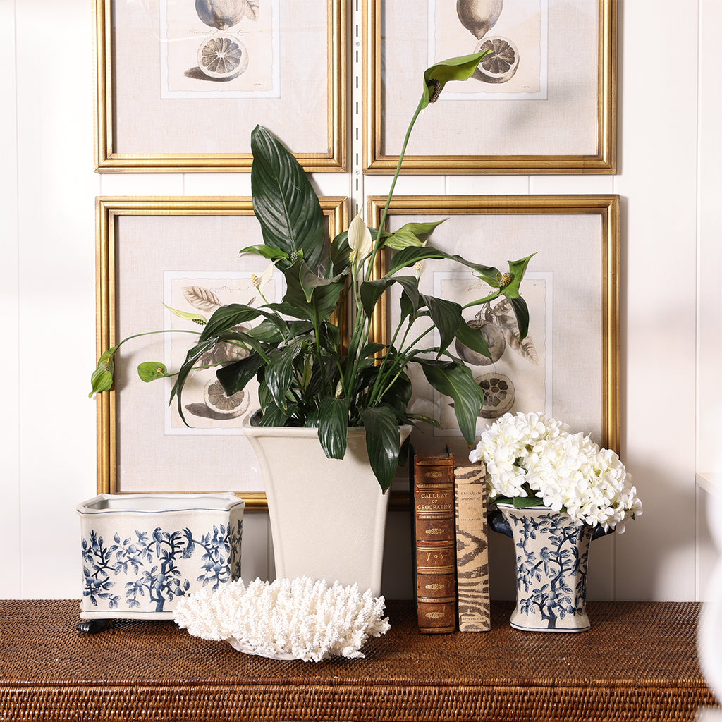 Dynasty Chinoiserie Flared Vase Styled on Ratan Sideboard with Plants and Books