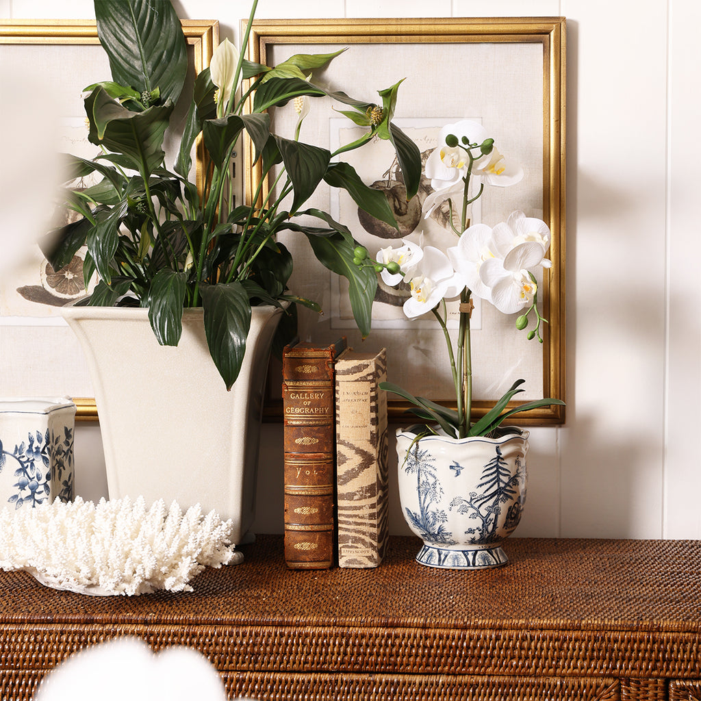Dynasty Scalloped Chinoiserie Planter Small Styled on Ratan Buffet with Books and Orchid