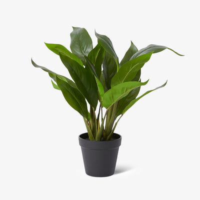 Artificial Peace Lilly Potted Plant Front View