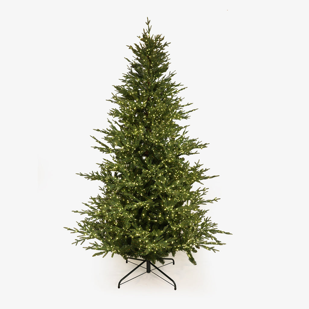 European Spruce Christmas Tree Single