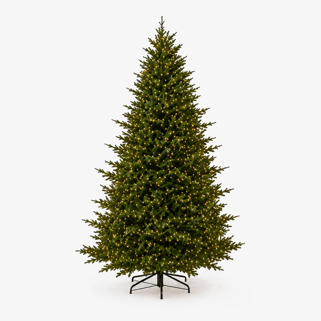 European Spruce Christmas Trees