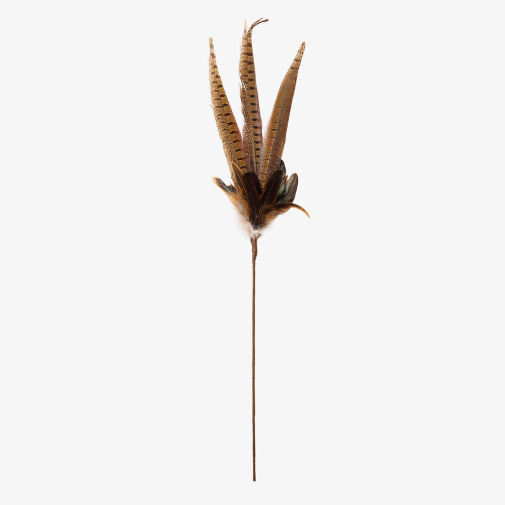 Pheasant Feather Pick 61cm Full View