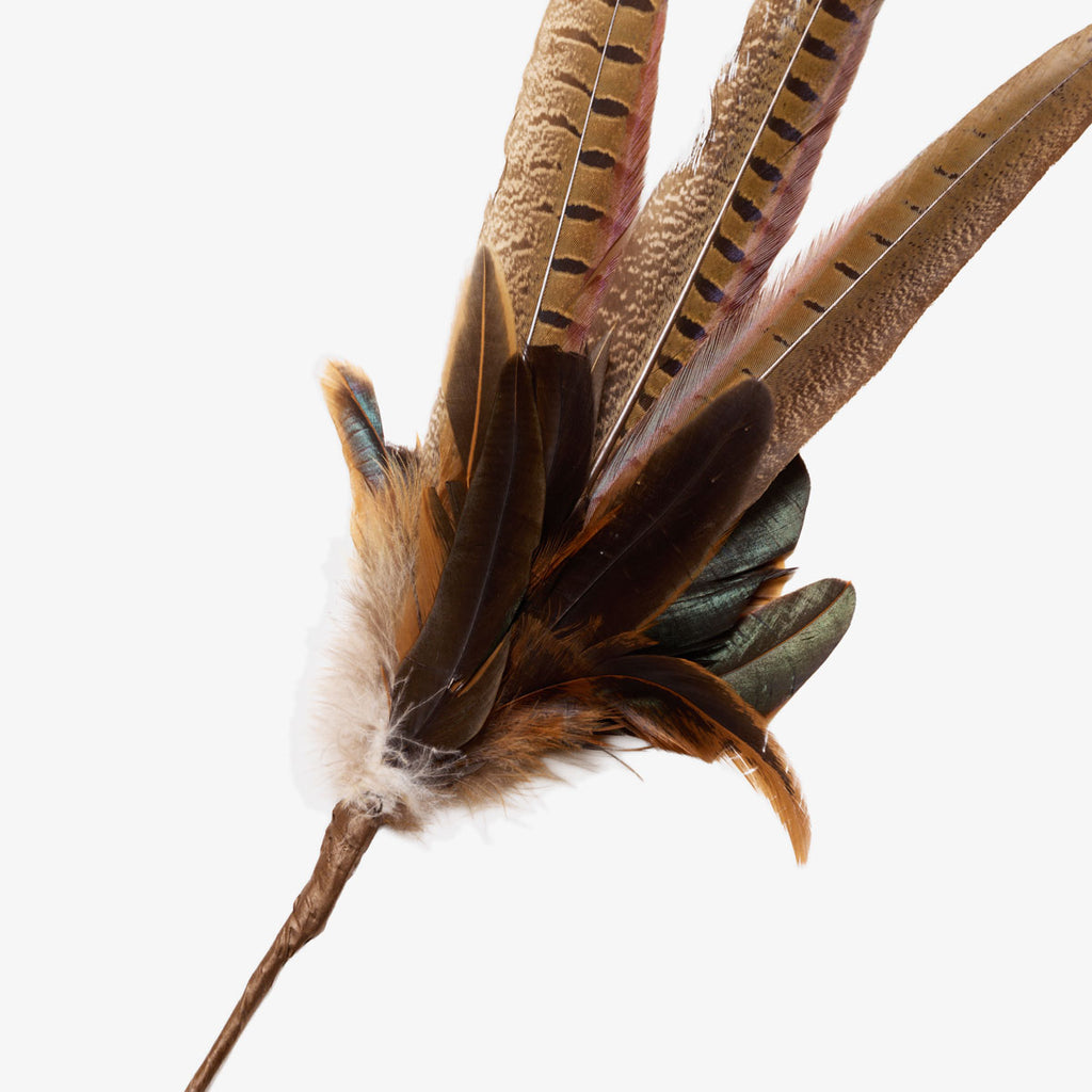 Pheasant Feather Pick 61cm Close Up
