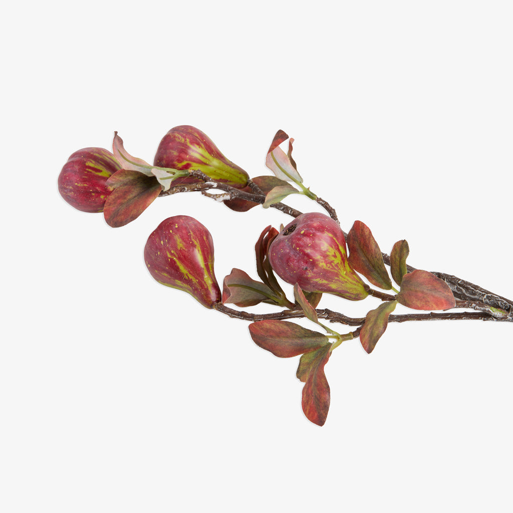 Artificial Fig Stem 54cm Close Up