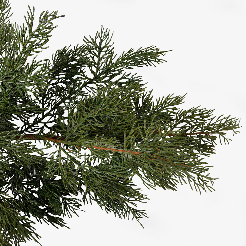 Fir Pick 61cm Close Up