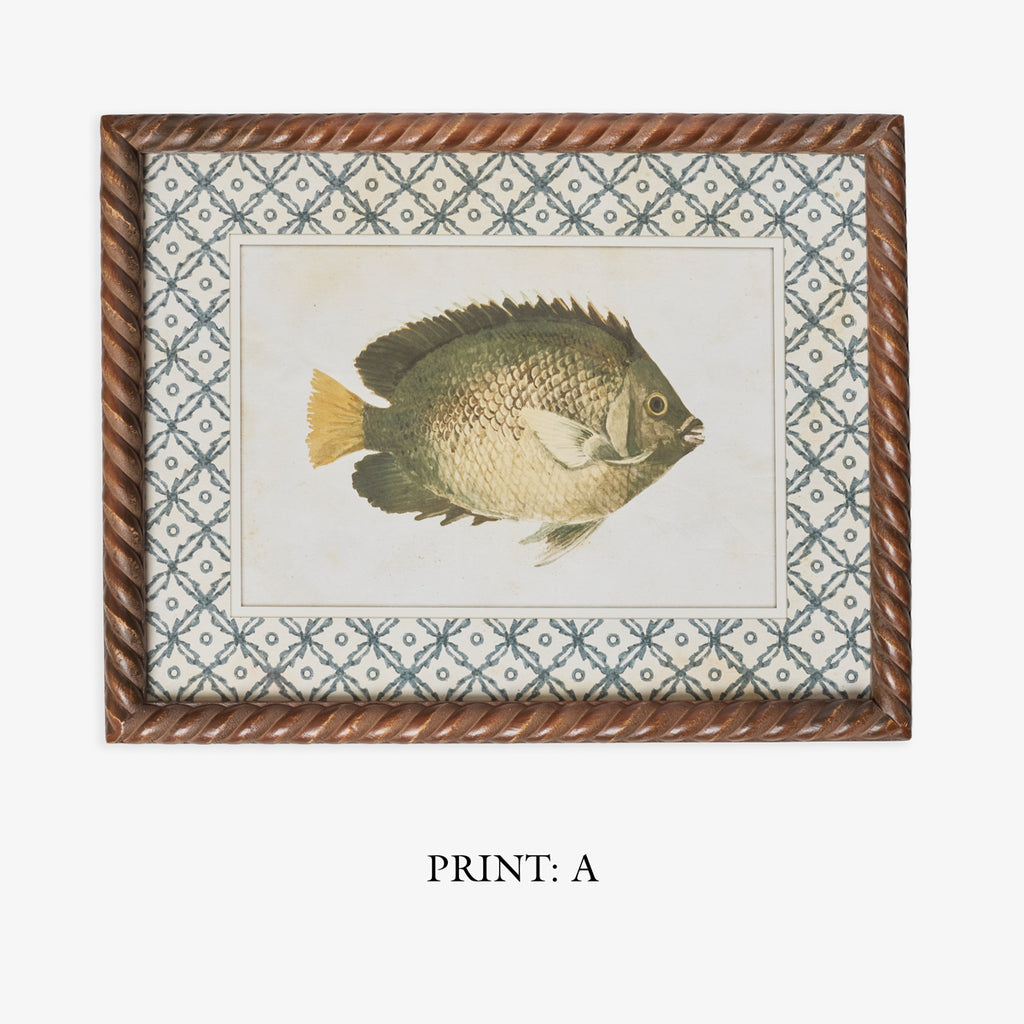Fish Print In Braid Frame (Print A) Title