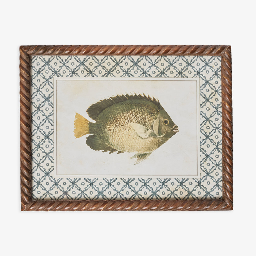 Fish Print In Braid Frame (Print A) Front View