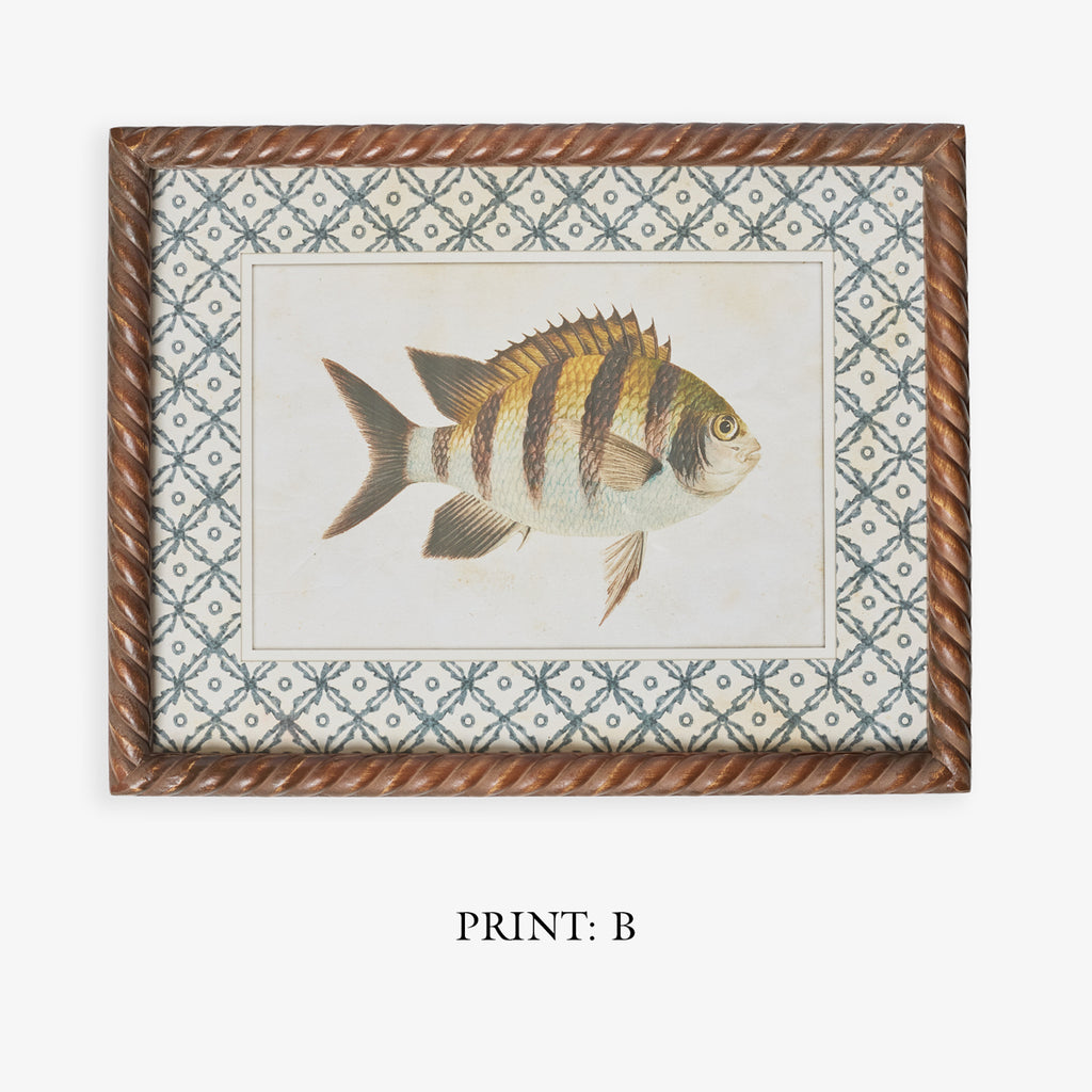 Fish Print In Braid Frame (Print B) Title