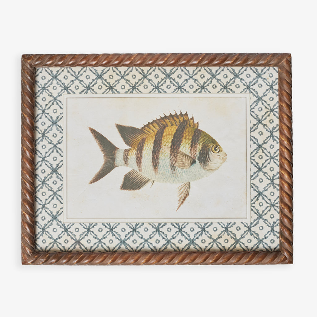 Fish Print In Braid Frame (Print B) Front View
