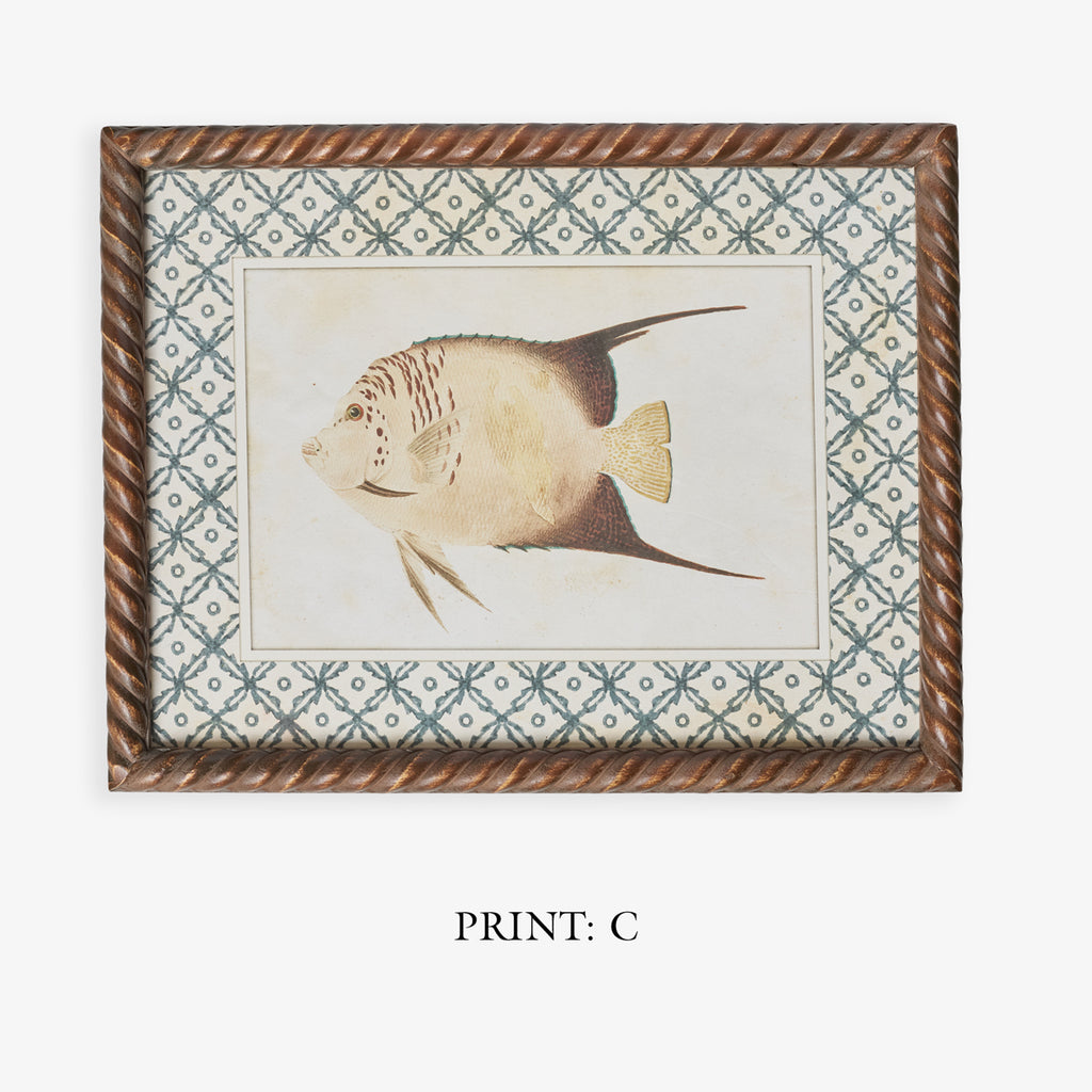 Fish Print In Braid Frame (Print C) Title
