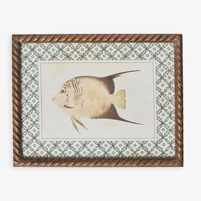 Fish Print In Braid Frame (Print C) Front View