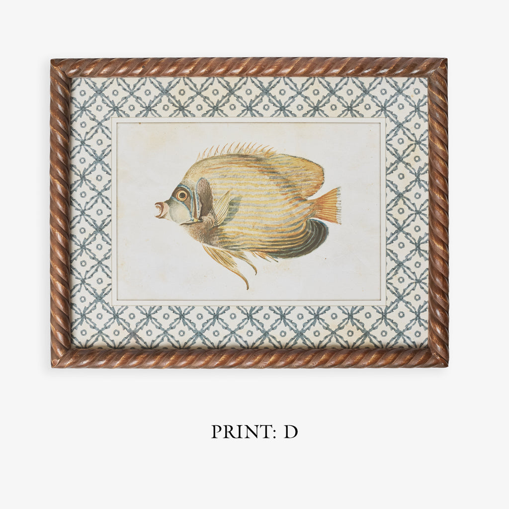 Fish Print In Braid Frame (Print D) Title