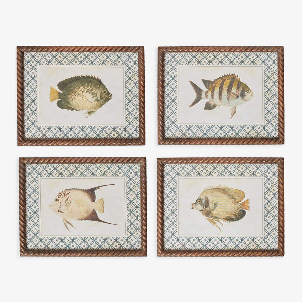 Fish Print In Braid Frame (Print D) Group Shot