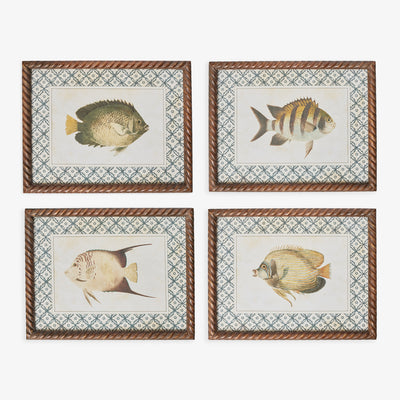 Fish Print In Braid Frame (Print D) Group Shot