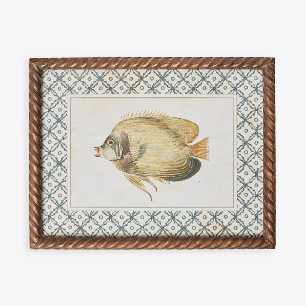 Fish Print In Braid Frame (Print D) Front View