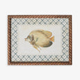 Fish Print In Braid Frame (Print D) Front View