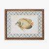 Fish Print In Braid Frame (Print D) Front View