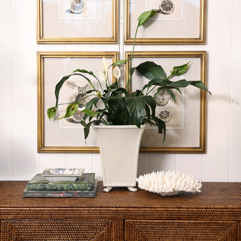 Flared Porcelain Vase Styled On Ratan Cabinet