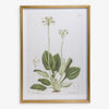 Floral Print in Gold Frame 1 Front