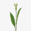Artificial Ginger Flower Spray 84cm Front View