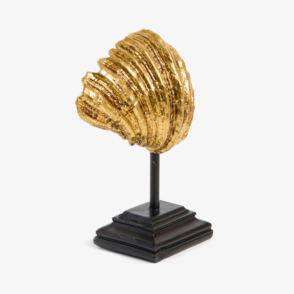 Clam On Stand (Gold) Back Side View