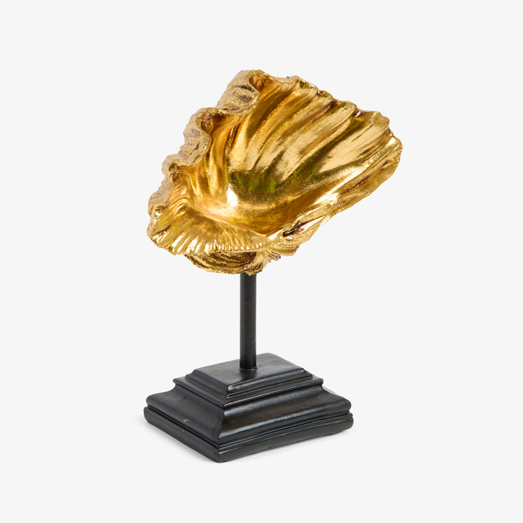 Clam On Stand (Gold) Front Side View