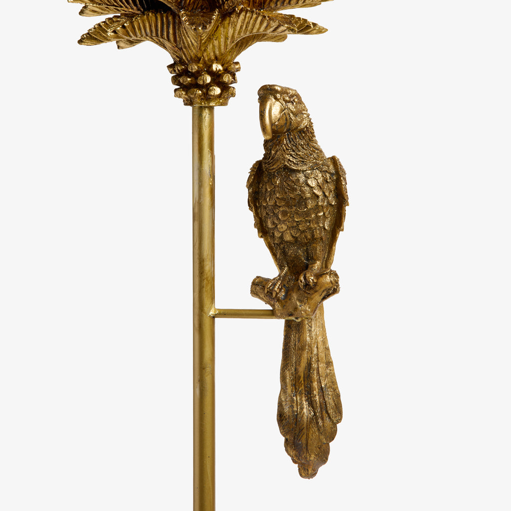 Majestic Parrot (Gold) Close Up of Parrot