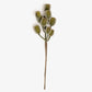 Green Rosehip Pick 28cm
