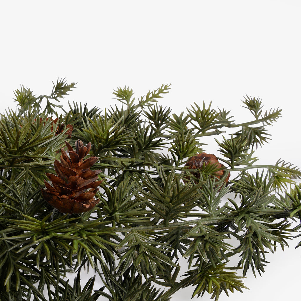 Hemlock Spray 42cm Close Up