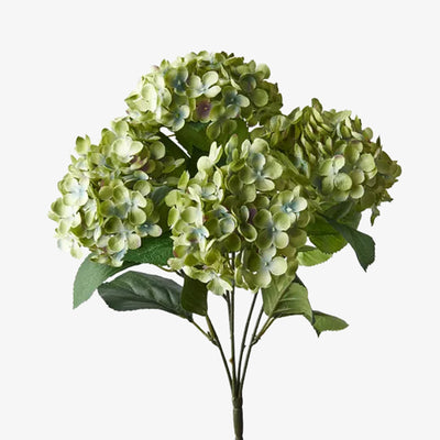 Hydrangea Bush Green 46cm Front