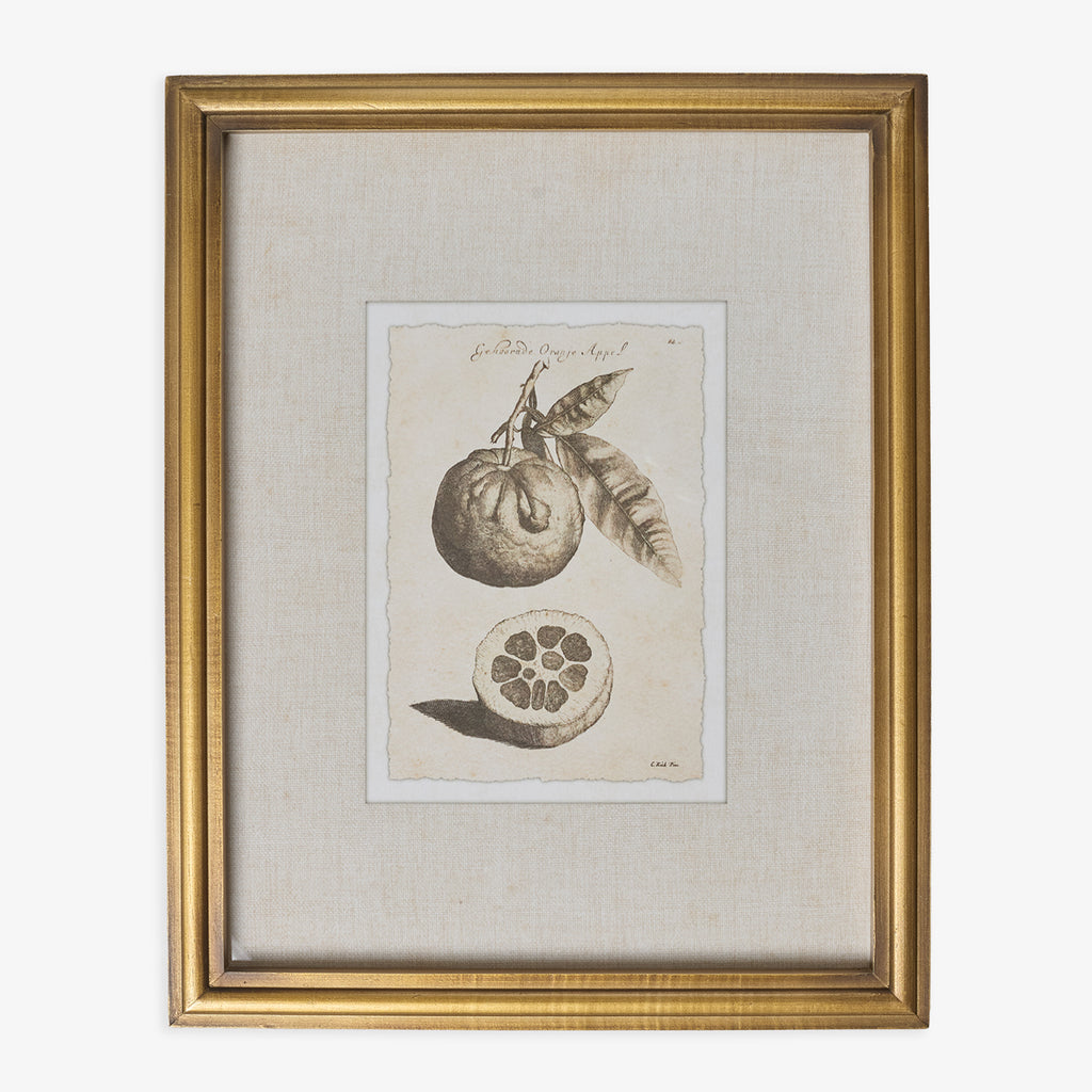Lemons In Gold Frame (Print A) Front View