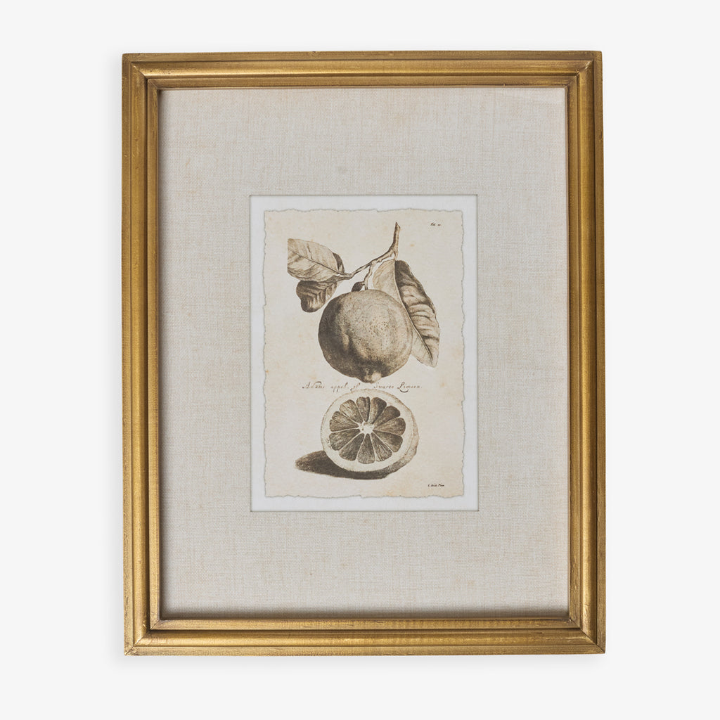 Lemons In Gold Frame (Print B) Front View