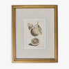 Lemons In Gold Frame (Print B) Front View
