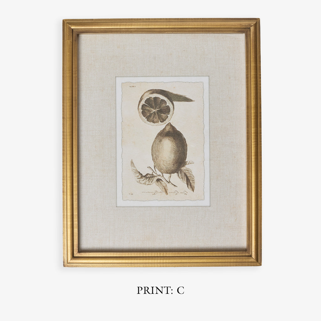 Lemons In Gold Frame (Print C) Title