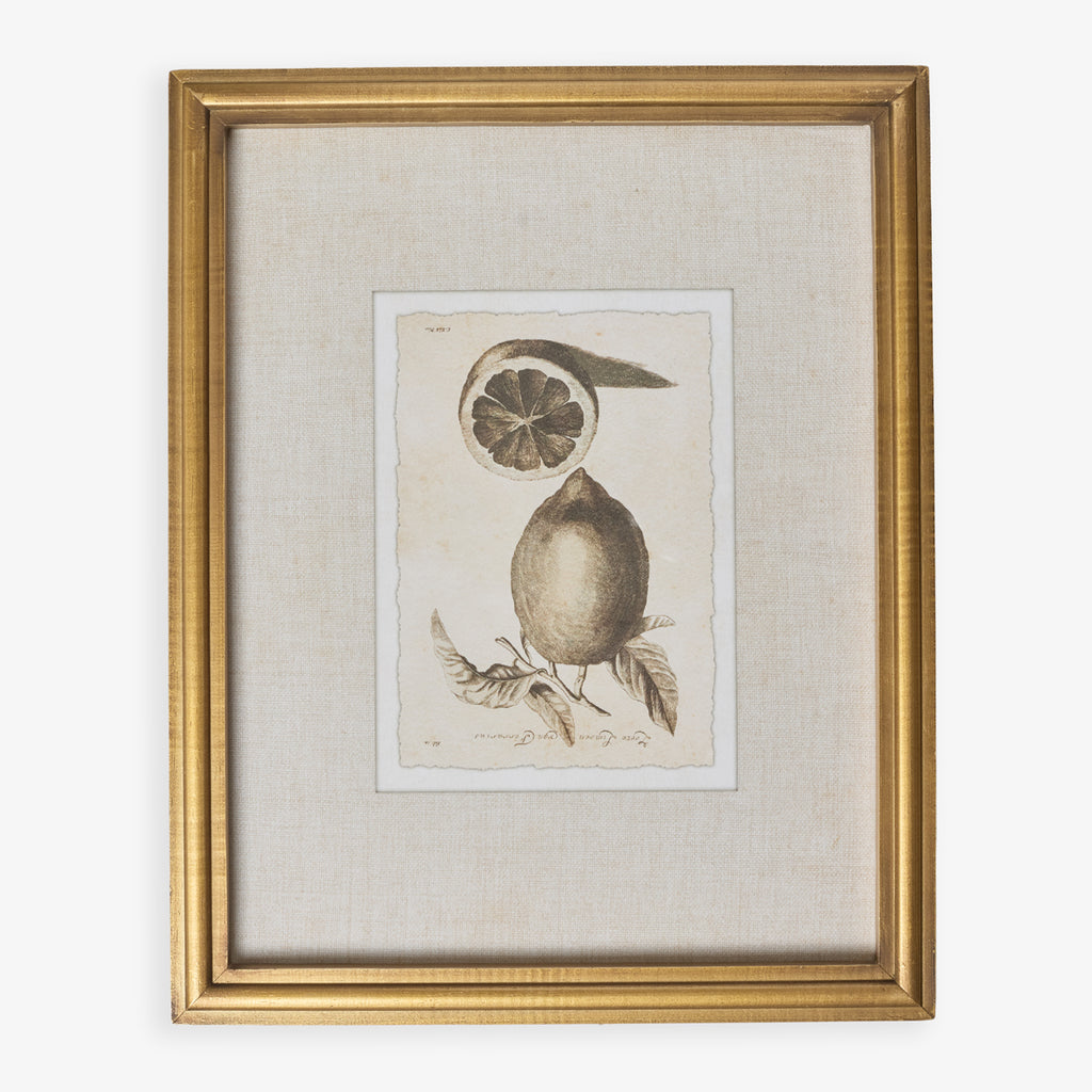 Lemons In Gold Frame (Print C) Front View