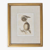 Lemons In Gold Frame (Print C) Front View